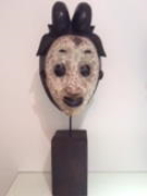 2013002 Punu Maskers - tropisch hardhout - Gabon <b>Traditionele en hedendaagse <i>”Punu”</i> maskers afkomstig uit Zuid-Afrika.<br><br>Maten in cm:</b><br>Traditioneel masker: H 34 – B 25 – D 10.<br> Hedendaags masker: H .. – B .. – D …<br><br>Dit type maskers wordt gebruikt door verschillende stammen in Gabon. <br>Het traditionele masker hier is een kopie van een <b><i>"Punu-Mmwo"</i></b>, een meisjesgeest masker. Het beeldt een mooi meisje af, met haar witte gezicht in een serene uitdrukking. Net als in het leven draagt dit meisje een mooi uitgebreid kapsel. Het masker werd traditioneel gedragen samen met een kleurrijk kostuum.  <br>Het hedendaagse masker is een artistieke variant, puur voor decoratie.<br><br><b><i>Punu</i>-maskers</b> vertegenwoordigen de gezichten van geïdealiseerde vrouwelijke voorouders. De witte kleur van het masker is geslachtloos; wit is een symbool voor vrede, goden, geesten van de doden en het hiernamaals. Het is dus de overheersende kleur in begrafenisvieringen en gedenktekens. Daarom werden de witte maskers tijdens begrafenissen gedragen. Ze werden ook voor magische riten gebruikt met als doel tovenaars te ontmaskeren. <br><br>De maskers hebben realistische, meestal witte maar soms zwarte gezichten met uitstekende tuitende lippen, bolvormige uitstekende ogen ingesneden met een bocht, hoge koepelvormige voorhoofden en karakteristieke stijve hoge coiffures die de haarstijlen van de Punu weerspiegelen. <br>De maskers hebben vaak een oosterse uitdrukking, maar een dergelijke invloed is niet vastgesteld. <br>Veel Punu-maskers zijn te herkennen aan verhoogde ruitvormige scarificatietekens op het voorhoofd en de slapen.  2013002.jpg