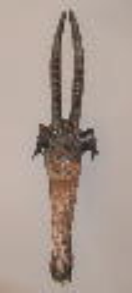 2015002 Antiloop maskers van de Fang uit Gabon <br><b>Maten in cm: H 94 – B 20 – D 20.</b> <br><br>Er zijn regionale variaties van maskers bij het Fang-volk, dat in het noordelijk deel van Gabon en zuidelijk Kameroen woont. Ze worden over het algemeen gekenmerkt door een uitgestrekt, langwerpig, gebogen gezicht en een hoog koepelvormig voorhoofd. <br><br>Deze antilopenmaskers zijn uit hout vervaardigd. De ogen en neus werden met spijkerkoppen geaccentueerd. Het aangezicht werd oorspronkelijk met witte klei gewit, maar is grotendeels door de tijd vergaan. Wit symboliseert de relatie met het nabestaan. <br><br>Eén masker is uitgevoerd met de gedraaide hoornen van een Kudu-antiloop, het andere stelt een Sabelantiloop voor met hoornen naar achteren gebogen. 2015002-01.jpg