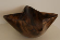 2205000 Kom in 4-puntige stervorm - Jacaranda hout biKom in de vorm van een "Ster"/i uit Kenia. /bbr Met de hand uitgefreesde, bvierkante/b houten kom met ingaande welving aan de vier zijden. br Mooi gelijkmatig afgerond met een natuurlijke tan. brbr bMaten in cm bij benadering : brL :  L 28 - B 28 - H 15.brM :  L 23 - B 23 - H 13.brS :  L 18 - B 18 - H 10./b br br Jacaranda is een gekweekte tropische boom en dus niet bedreigd. brbrbiReiniginginstructies:/i /bMet een zachte doek, gedrenkt in lauw zeepwater afwassen, afspoelen en onmiddellijk grondig afdrogen. Op tijd en stond het hout voeden door de kom met een zachte, met plantaardige olie doordrongen doek in te wrijven. brbrbiOnderhoudsinstructies:/i/bbrGeregeld met een licht bevochtigde doek zonder pluizen uitvegen.brbrIndien de kom dof oogt: dip een vel keukenpapier in plantaardige olie (olijfolie, arachideolie of zonnebloemolie) en wrijf de oppervlakten in met zachte cirkelvormige bewegingen. Verwijder vervolgens de overtollige olie met een zachte, niet pluizende doek of met een propere zachte papieren servet.brbrbiDe kom niet in water laten weken en zeker niet in de vaatwasser afwassen!/b/i 2205000.jpg